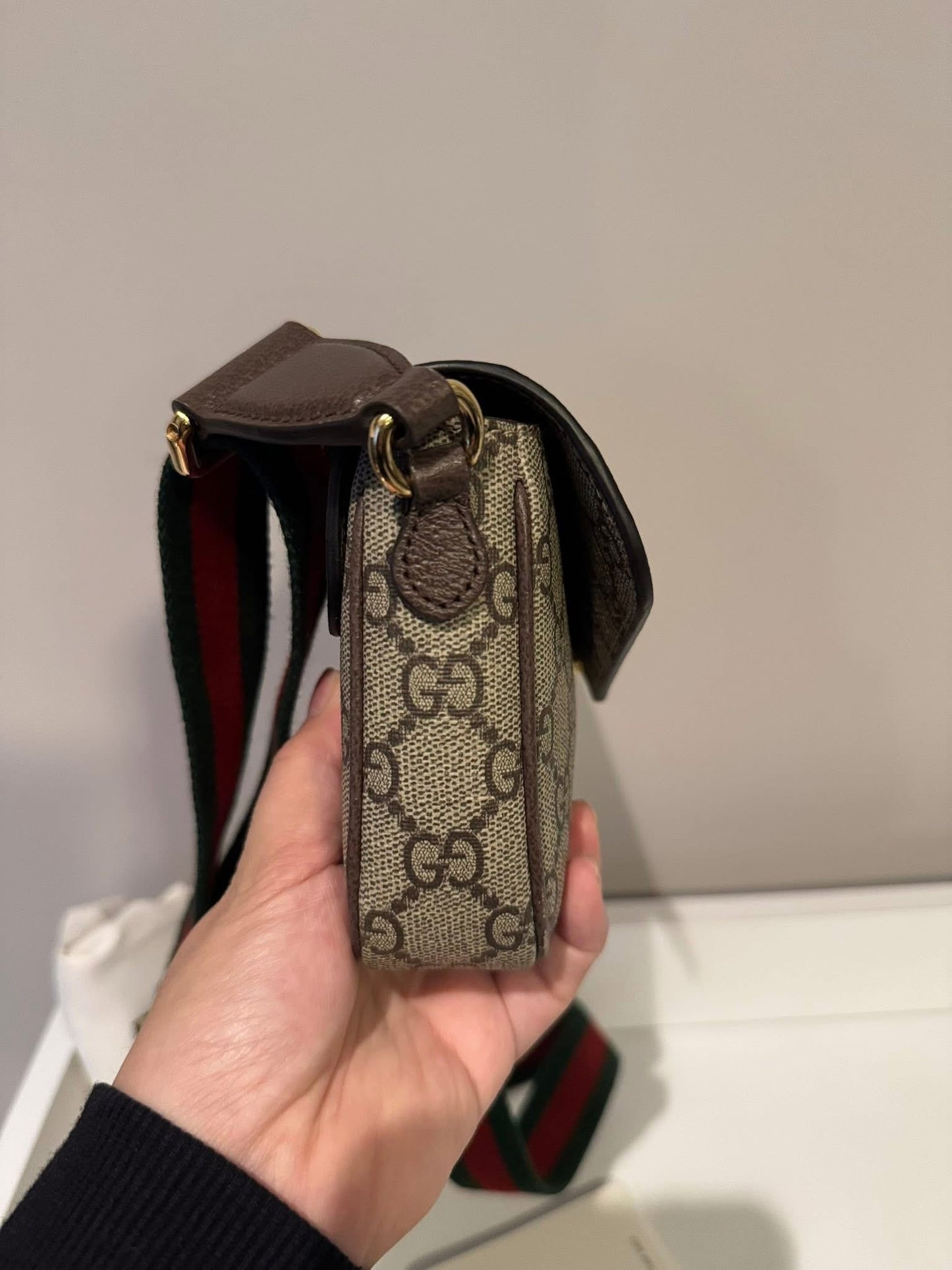 Gucci Ophidia Mini Preloved