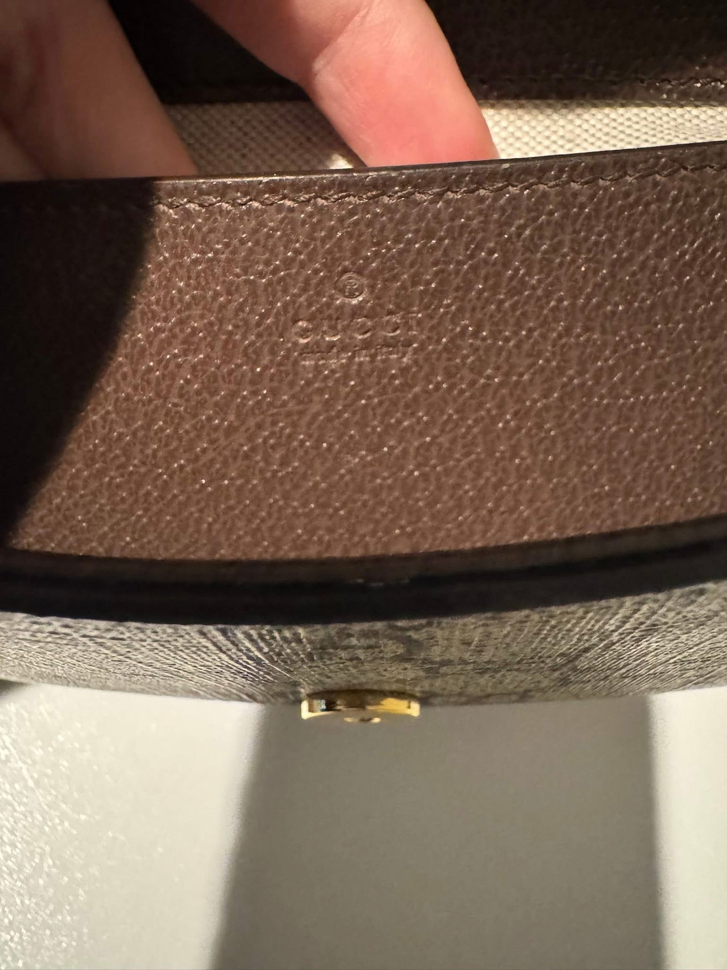 Gucci Ophidia Mini Preloved