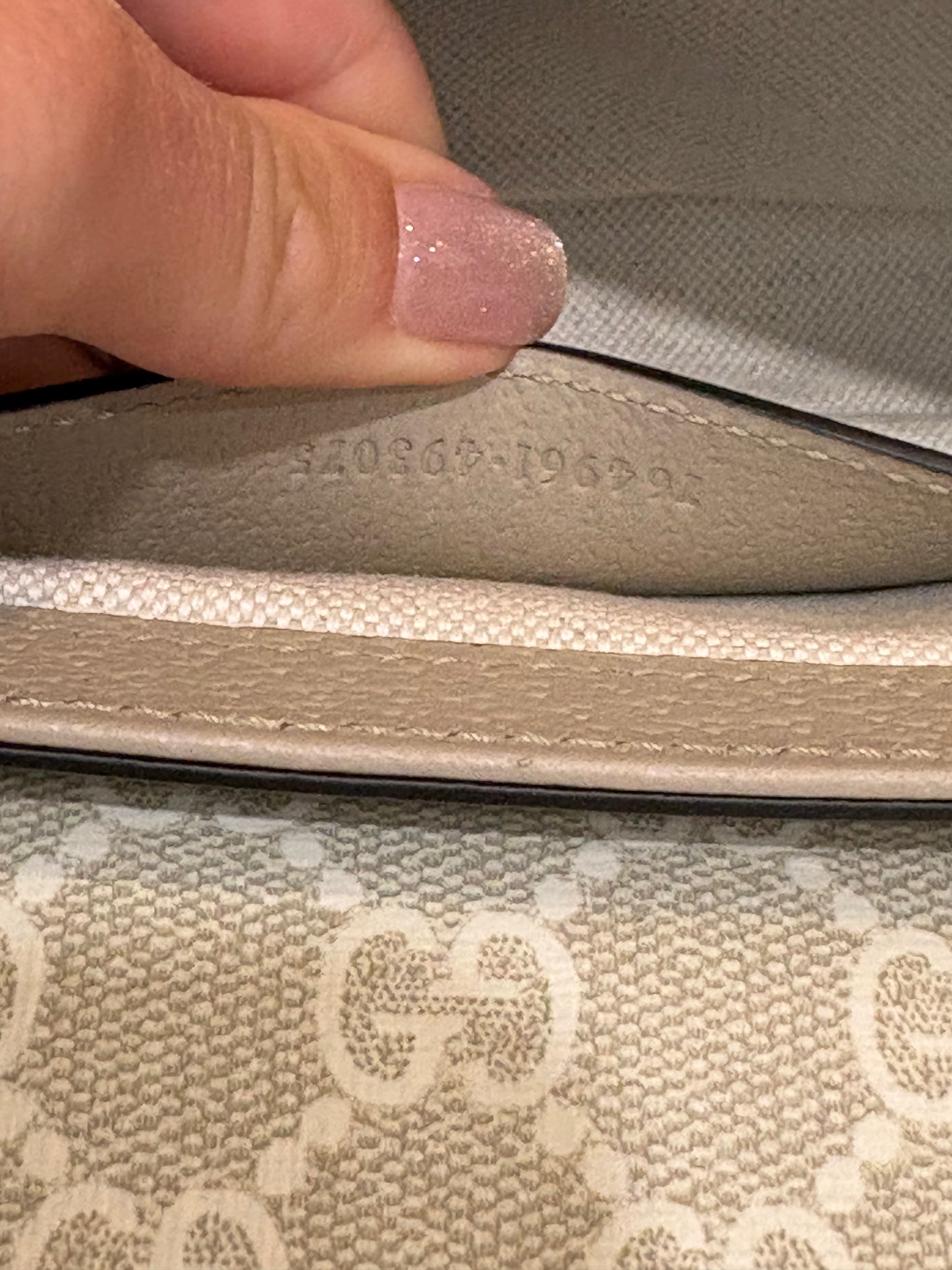 Gucci Ophidia Mini