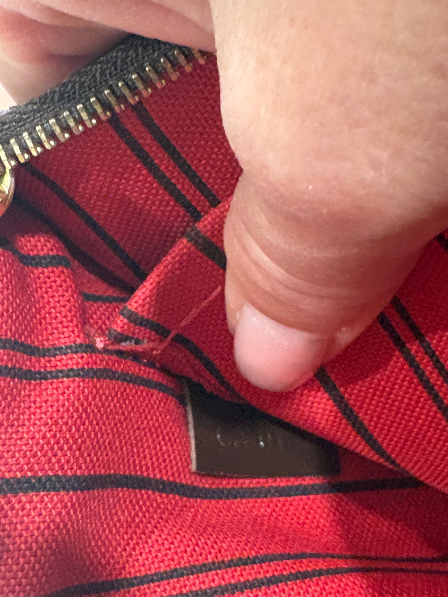 Louis Vuitton Neverfull MM with pouch